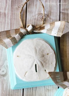 a white sand dollar sitting in a blue box on top of a wooden table with ribbon