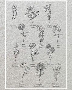 an image of flowers drawn on paper with the words, flower names and their meanings