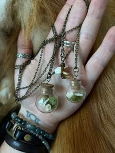 Three jewelry items made from natural wonders: Appalachian Deer Tooth: this amulet is a deer molar found in the northern Appalachians, suspended on an 18 inch chain. Large Bottle: a round glass bottle containing a fish vertebra, coyote toe bone, and reindeer moss, suspended on a 30 inch chain. Smaller bottle: a round glass bottle containing a coyote claw and reindeer moss, suspended on a 30 inch chain. Oddity Jewelry, Bone Jewelry Diy, Real Bone Jewelry, Animal Bone Jewelry, Oddities Jewelry, Taxidermy Jewelry, Deer Jewelry, Silly Clothes, Real Bones