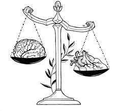 a scale with two different types of food on it, and one is being weighed