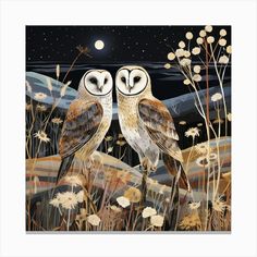 two owls sitting on top of a field at night