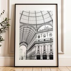 a black and white photo hanging on the wall next to a plant in a vase