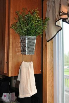 a potted plant hanging from the side of a kitchen cabinet next to a window