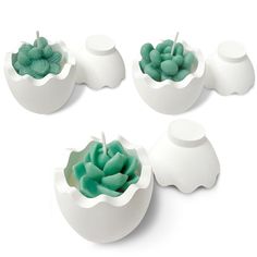 four white bowls filled with green plants on top of each other in front of a white background