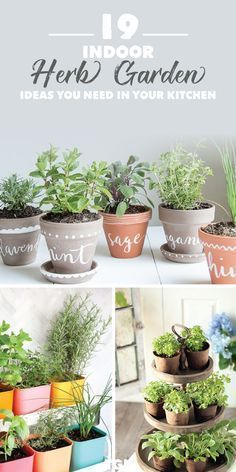 Indoor Herb Garden DIY | Herb Garden Ideas | Indoor garden ideas for beginners l...#beginners #diy #garden #herb #ideas #indoor    General  More and more young Garden beginners discover their own vegetable garden as a Basis for self-sufficiency with healthy, self-grown vegetables. But anyone who creates a vegetable garden without planning necessarily makes one or the other mistake, the correction of which can be quite complex in retrospect. Th... #beginners #DIY #Garden #herb #Ideas #Indoor Herb Garden Ideas Indoor, Diy Herb Garden Ideas, Garden Ideas Indoor, Herbs In Pots, Indoor Herb Garden Diy, Indoor Herbs, Herb Garden Ideas, Herb Garden Pots