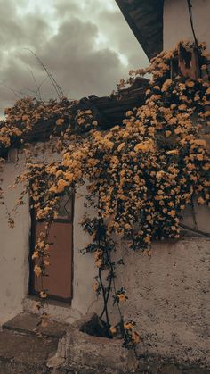 an old building with yellow flowers growing on it's side and the door open