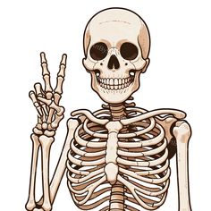 a skeleton holding up two fingers in front of his face and chest, with one hand on the other side