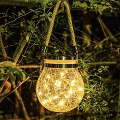 a light bulb hanging from a tree branch in the night with string lights on it