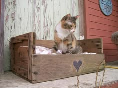 a cat sitting in a wooden crate on the ground