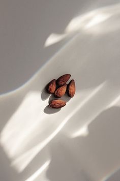 two almonds sitting on top of a white surface