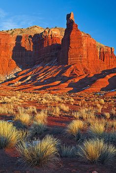 the desert is full of red rocks and green grass, with mountains in the background