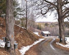 two buckets on the side of a dirt road