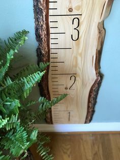 a wooden growth chart with a plant next to it