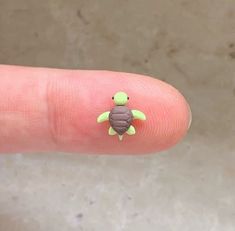 a tiny turtle is sitting on top of someone's finger