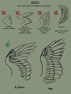 how to draw wings in different ways