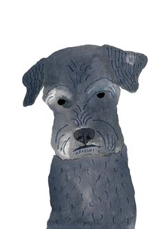 a watercolor drawing of a dog's face