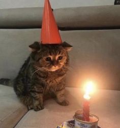 a cat wearing a party hat sitting next to a lit candle