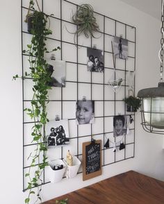 a white wall with pictures and plants on it