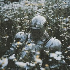 a knight in a field full of wildflowers with his armor and helmet on