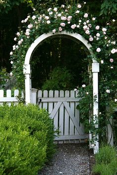 a white garden gate with pink roses growing on it's sides and an arch in the middle