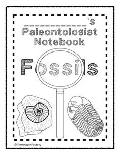 This activity is geared towards South Carolina's third grade science standards (new and old), but any grade level or state could benefit from this product. Activities include...1. What do you know about fossils? Students will write 3 facts they already know about fossils. 2. Fossils Lesson, Types Of Fossils, Third Grade Social Studies, Unit Studies Homeschool, Community Helpers Preschool, Science Birthday, Nature Science, Fossil Hunting