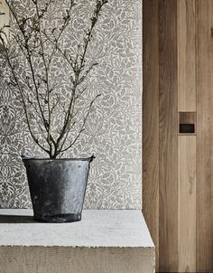 a potted plant sitting on top of a counter next to a wooden wallpaper