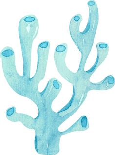 a watercolor drawing of blue corals on a white background