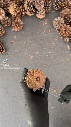 a hand holding a small pine cone in front of many cones on the ground,