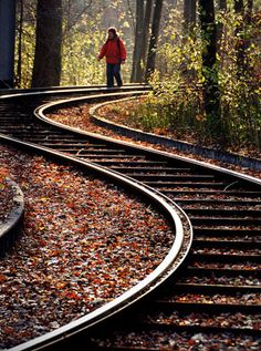 a person standing on top of train tracks in the middle of a forest with leaves all around