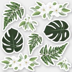 green leaves and flowers stickers on a white background