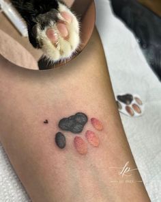 a cat paw is shown in front of a mirror with its paw print on it