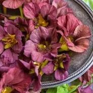 purple flowers are in a bowl on the table