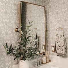 a bathroom sink with a mirror above it and a potted plant on the counter