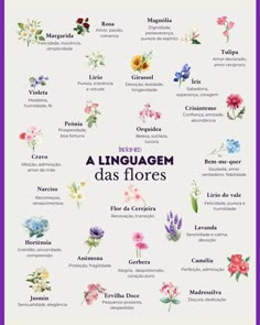 a poster with different flowers in spanish and english words on the bottom right hand corner