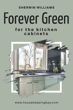 Forever Green SW 9653     for the Kitchen Cabinets by Sherwin-Williams Green For Kitchen Cabinets, Kitchen Activities, Warm Kitchen, Cool Undertones