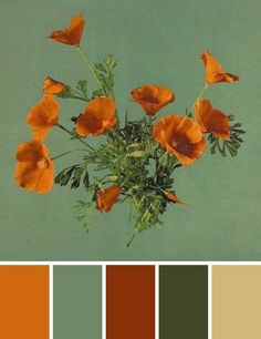 a vase filled with orange flowers on top of a green table next to color swatches