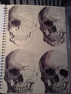 three skulls are shown in black and white on a spiral notebook, with the pages lined up