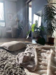 a living room filled with lots of furniture and plants on top of a shaggy rug