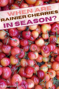 Find out when fresh Rainier cherries are in season from Washington and other states. Stonewall Kitchen, Taste And See