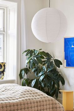 a bedroom with a bed, potted plant and large white paper lanterns hanging from the ceiling