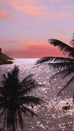 the sun is setting over the ocean with palm trees and birds swimming in the water