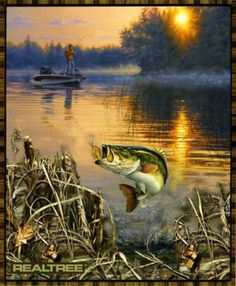 a painting of a bass jumping out of the water to catch a fish in it's mouth