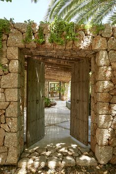 an open door leading into a stone walkway with palm trees on either side and potted plants hanging from the roof