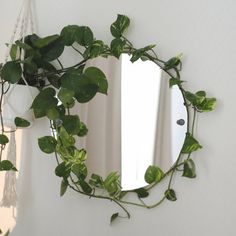 a mirror hanging on the wall next to a potted plant