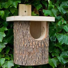 a wooden bird house sitting on top of a tree