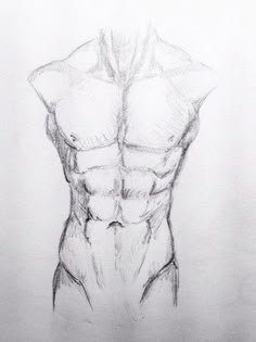 a pencil drawing of a man's torso