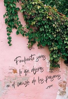 a pink wall covered in green plants and writing on it's side with spanish words