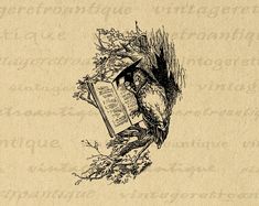 a drawing of a bird sitting on top of an open book