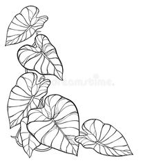 a black and white drawing of leaves