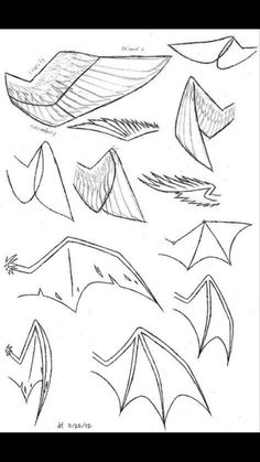 several different shapes and sizes of kites are shown in the drawing above it is an image